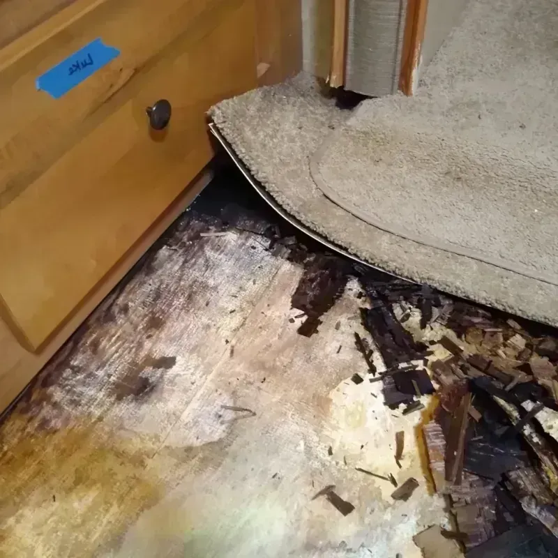 Wood Floor Water Damage in Lealman, FL